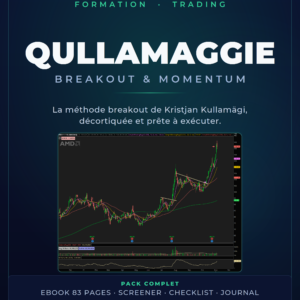 formation-qullamaggie-livre